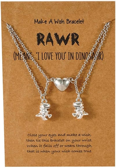 BFF Ketting voor 2 met Dino en Magneet Hartje Zilverkleurig - Dinosaurus Vriendschapsketting met Cadeau kaartje - Pax Amare