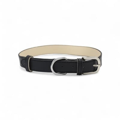 Dog's Companion Leren Halsband Hond - PU leren hondenhalsband - Lengte: 55 cm Verstelbaar van 37,5-47,5 cm x 25 mm - Zwart