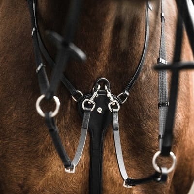 Professionele martingale voor paarden Waldhausen X-Line