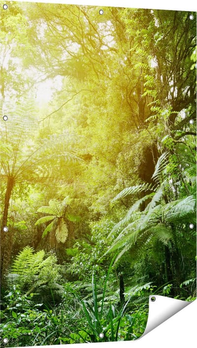Gards Tuinposter Tropische Jungle met Zonneschijn - 80x120 cm - Tuindoek - Tuindecoratie - Wanddecoratie buiten - Tuinschilderij