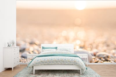 Behang - Fotobehang Schelpen - Wit - Strand - Zomer - Breedte 375 cm x hoogte 280 cm