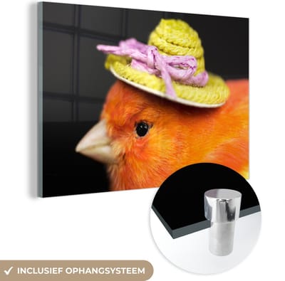 MuchoWow® Glasschilderij 120x80 cm - Schilderij acrylglas - Vogel - Hoed - Oranje - Foto op glas - Schilderijen