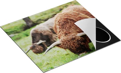 Chefcare Inductie Beschermer Twee Schotse Hooglanders Koeien Grazen Gras - 60x50 cm - Afdekplaat Inductie - Kookplaat Beschermer - Inductie Mat