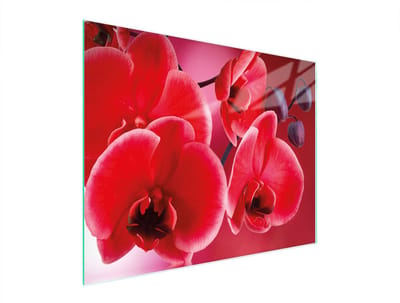 TMK ArtDeko - Glas Snijplank - 52x40 cm - Orchidee