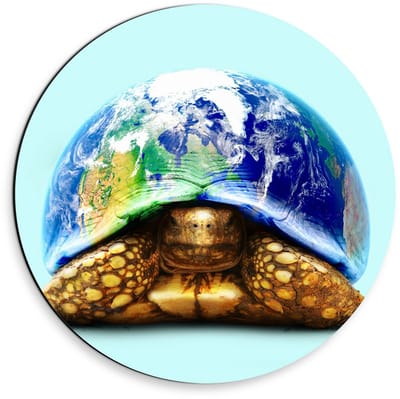 Dibond Wandcirkel - Schildpad met Wereldhuis - 30x30cm Foto op Aluminium Wandcirkel (met ophangsysteem)
