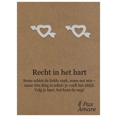 Stainless Steel Hartje met Pijl Oorbellen op Cadeau Kaartje - Recht in het hart - ± 10x10mm Oorknopjes Zilverkleurig Roestvrij Staal - Pax Amare