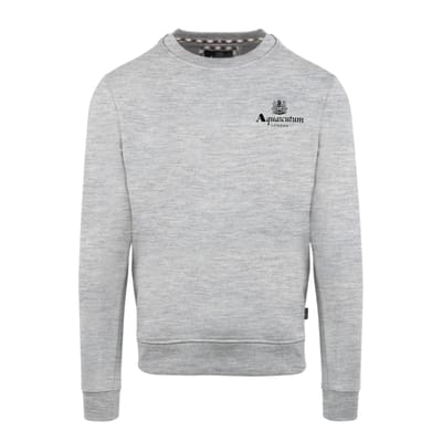 Aquascutum Heren-sweatshirt met ronde hals en lange mouwen met klein logo (Grijs)