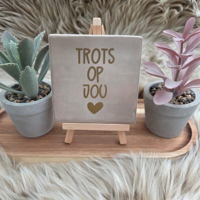 Robuust Wenstegeltje “Trots op Jou” – 10x10cm – Lief Cadeautegeltje met Hartje – Trendy nu – Geslaagd – vriend(in), familie, gezin, zomaar – Decoratief Tegeltje met Standaard – Cadeau Idee
