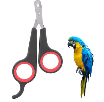 Dailygoods - Dailygoody - RVS Nagelschaar - Voor kleine dieren - Geschikt voor verzorging - Compact formaat - Dierlijke verzorging - Veilig en eenvoudig in gebruik