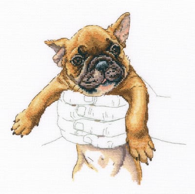 RTO - Borduurpakket met telpatroon - 26.M821 - Voorgesorteerde DMC Garens - Hond in handpalmen - Aida - 20 cm x 19.5 cm - DIY Kit