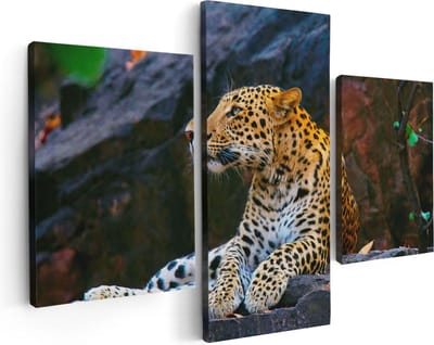 Artaza Canvas Schilderij Drieluik Luipaard Op De Rotsen - 90x60 - Foto Op Canvas - Canvas Print
