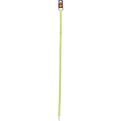 Nylon hondenriem Zolux