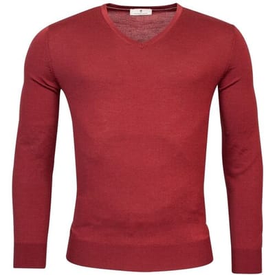 Thomas Maine Trui V-Neck Single Knit Merinowol Raspberry / male