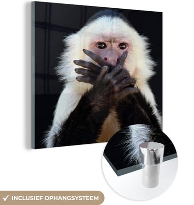 MuchoWow® Glasschilderij 50x50 cm - Schilderij acrylglas - Aap - Wilde dieren - Portret - Foto op glas - Schilderijen