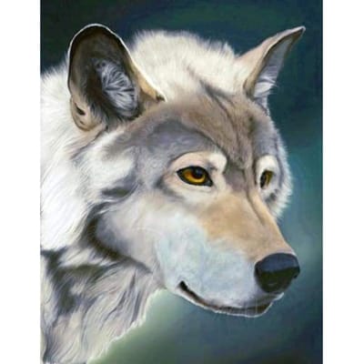 Borduurschilderij Diamant borduurwerk Borduurhandwerk Schilderset Wolf aquarel diamant 20X30CM gray