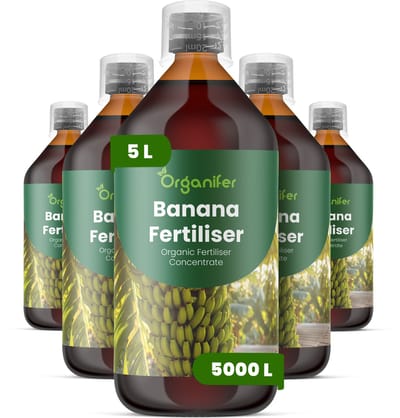 Vloeibare Meststof Voor Banaan 5X1 L Voor 5000 L - Npk 2-1-8 - Krachtige Groei - Tropisch Blad - Bladgrootte - Snelle Vegetatieve Ontwikkeling - Sterk Wortelstelsel - Hittebestendig - Felle Zon- Herstel Na Snoei - Organifer