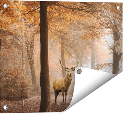 Gards Tuinposter Hert in het Bos - Herfst - 50x40 cm - Tuindoek - Tuindecoratie - Wanddecoratie buiten - Tuinschilderij