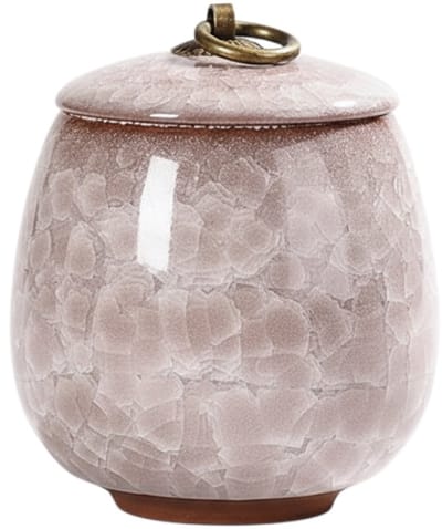 Artic Celeste Mini Urn – Lichtroze – 200 ML – Hoogwaardig Keramiek – Handgemaakt – As Urn – Menselijk As – Huisdieren Urn – Urn Hond – Urn Kat – Urn voor As Volwassen – Decoratie Urne – Urnen – Mini Urn – Urne Volwassenen – Urn voor Dieren