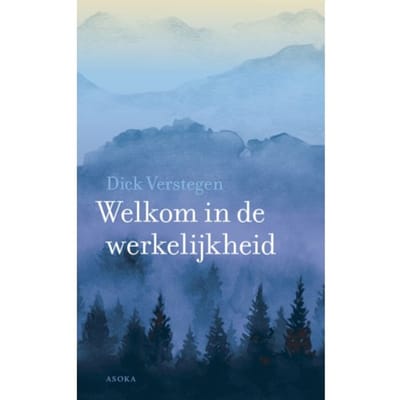 Welkom In De Werkelijkheid - Dick Verstegen