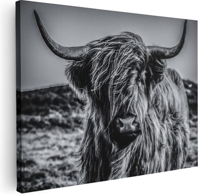 Artaza Canvas Schilderij Hooglander - 40x30 cm - Klein - Schilderijen Dieren - Muurdecoratie Woonkamer - Schilderijen Op Canvas