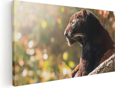 Artaza Canvas Schilderij Zwarte Panter - 40x20 cm - Klein - Wanddecoratie Dieren - Muurdecoratie Jungle - Schilderijen Op Canvas