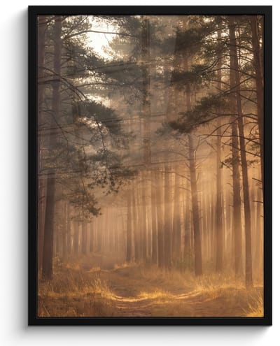 Poster in lijst - Fotolijst 60x80 cm - Posters - Bos - Mist - Zonlicht - Posterlijst zwart - Decoratie - Wanddecoratie woonkamer - Muurdecoratie slaapkamer