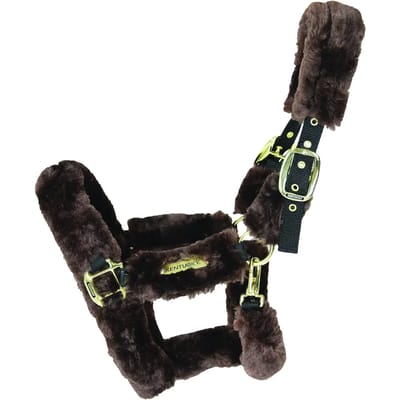 Kentucky Horsewear - Kentucky Horsewear Halster - Wol Bruin - Paard