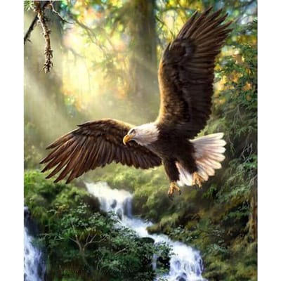 Foret rond complet 5d bricolage diamant peinture aigle diamant broderie point de croix 20X30CM black