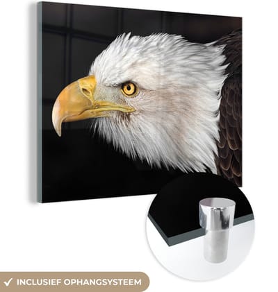 MuchoWow® Glasschilderij 160x120 cm - Schilderij acrylglas - Adelaar - Vogel - Snavel - Ogen - Foto op glas - Schilderijen