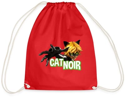 Miraculous Cat Noir Adrien Gymtas