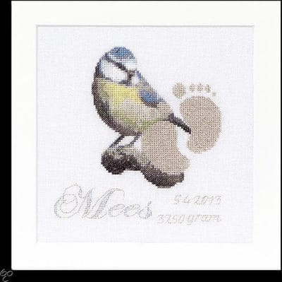 Thea Gouverneur - Borduurpakket met telpatroon - 509A - Voorgesorteerde DMC Garens - Geboortetegel Mees - Aida - 15 cm x 15 cm - DIY Kit