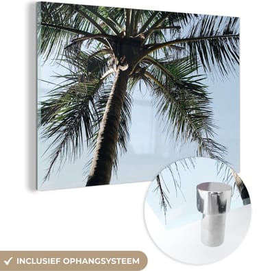 MuchoWow® Glasschilderij 150x100 cm - Schilderij acrylglas - Palmboom - Lucht - Tuinposter - Tuin - Decoratie tuin - Foto op glas - Schilderijen
