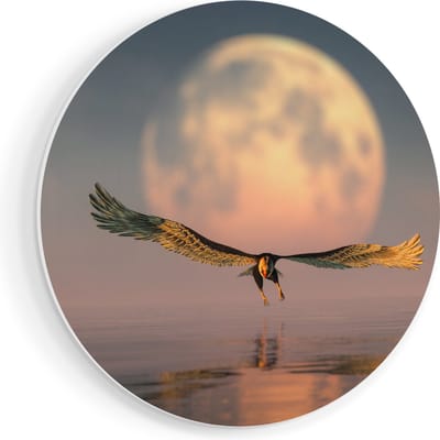 Artaza Forex Muurcirkel Adelaar boven het Water bij de Maan - 90x90 cm - Groot - Wandcirkel - Rond Schilderij - Muurdecoratie Cirkel