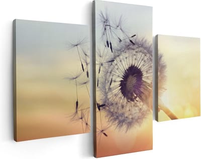 Artaza Canvas Schilderij Drieluik Paardenbloem Tijdens Zonsondergang - 90x60 - Foto Op Canvas - Canvas Print