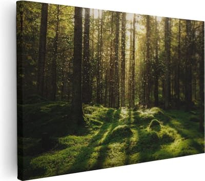 Artaza Canvas Schilderij Landschap - 30x20 cm - Klein - Wanddecoratie Bos - Muurdecoratie Bomen - Kamer Accessoires Natuur