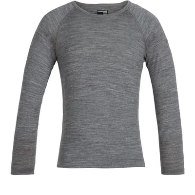 Icebreaker 200 Oasis Crew Merino T-shirt Met Lange Mouwen Grijs 14 Years Kinderen