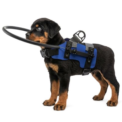 MAGICSHE Anti-Botsingsring Voor Blinde Honden - Verstelbaar Veiligheidsharnas - Reflecterend & Lichtgewicht - Blindengeleideharnas - Blauw S