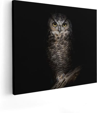 Artaza Canvas Schilderij Dierenkop Uil - 50x40 cm - Wanddecoratie Dieren - Muurdecoratie Vogel - Kamer Accessoires