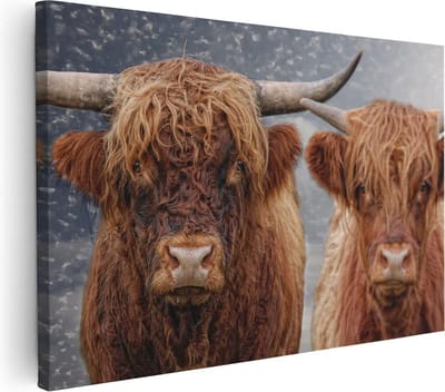 Artaza Canvas Schilderij Hooglander - 30x20 cm - Klein - Muurdecoratie Woonkamer - Wanddecoratie Gewei - Kamer Accessoires
