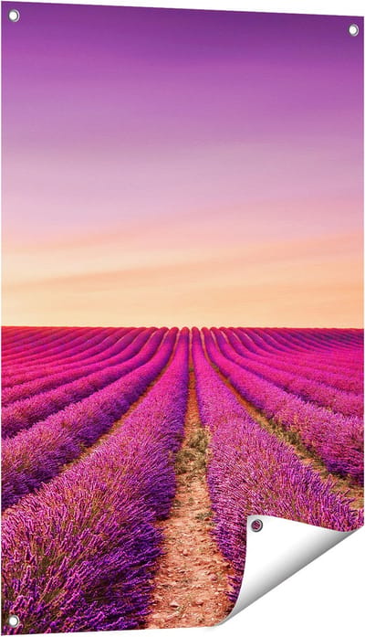Gards Tuinposter Paarse Lavendel Bloemenveld - 60x90 cm - Tuindoek - Tuindecoratie - Wanddecoratie buiten - Tuinschilderij