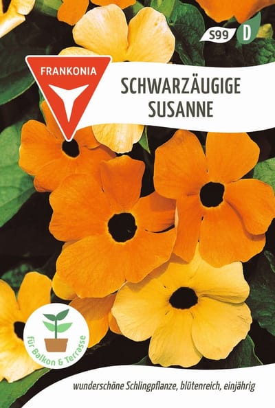 Zwarte-ogen-Susan - Bloemzaden, zaden van klimplanten, zaden