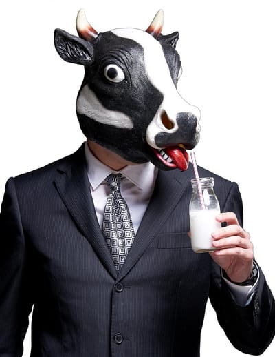Vegaoo - Koeienmasker