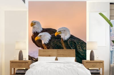 Behang - Fotobehang Vogels - Natuur - Roofvogels - Arend - Breedte 165 cm x hoogte 220 cm