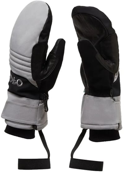 Oakley Apparel B1b Handschoenen Grijs L Man