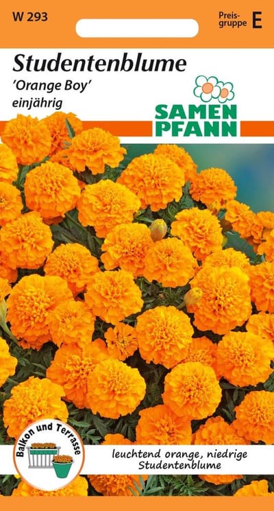 Goudsbloem, Oranje Jongen - Bloemzaden Goudsbloemzaden
