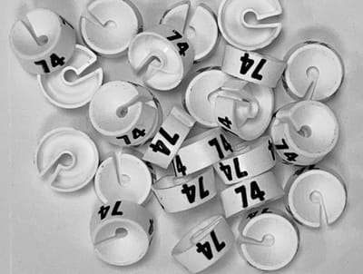 Bleijenberg Maatdopje maat 74 wit - Maataanduiding voor kledinghangers per 25 stuks - Maatringetje Ø 20 mm - Kledinghangers - Kleerhanger - Kapstok - Mark-Brics - wisersizer