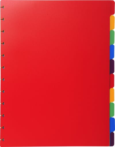 Exacompta 10x Tabbladen voor showalbum met ringen- gekleurde PP - 10 tabs - A4 - Geassorteerd - 86003E