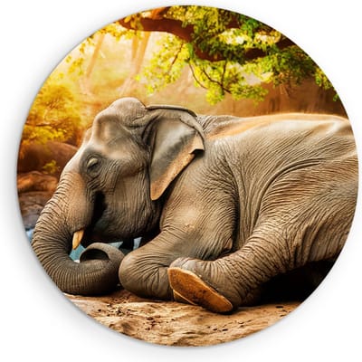 Saammp Muurcirkel Hout - Olifan op steen - Afrika - Dieren - Ø 90 - Wandcirkel - Wanddecoratie Cirkel - muurdecoratie Woonkamer - Slaapkamer decoratie - Rond Schilderij