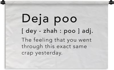 Wandkleed - Wanddoek - Spreuken - Quotes - The feeling that you went through this exact same crap yesterday - Deja poo - 180x120 cm - Wandtapijt