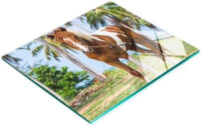 Decoratieve keukensnijplank van gehard glas met afbeelding van een Pinto-paard, 60x52 cm
